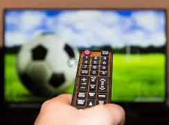 骑士,连胜中断,黄蜂告负,开云365体育app下载,开云365体育官网,开云365体育官方网站,开云365体育平台