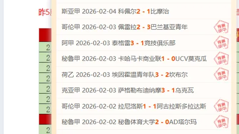 狮城泳坛盛事再掀全球新纪录，马尔尚雷根荣耀加冕